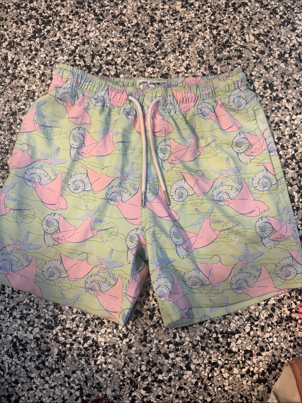Boy’s Bermies Pastel Green & Pink Swim Trunks with Sea Life Print